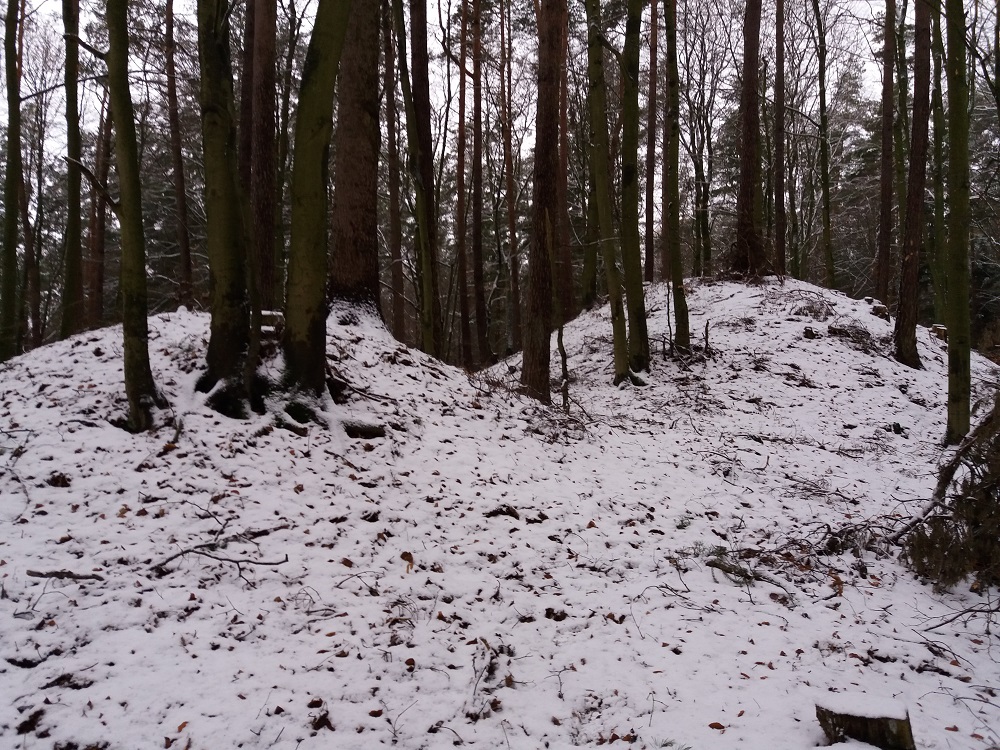 Click for the gallery page to add comments and vote (PID:161537) Hügelgräberfeld Brüsenwalde
