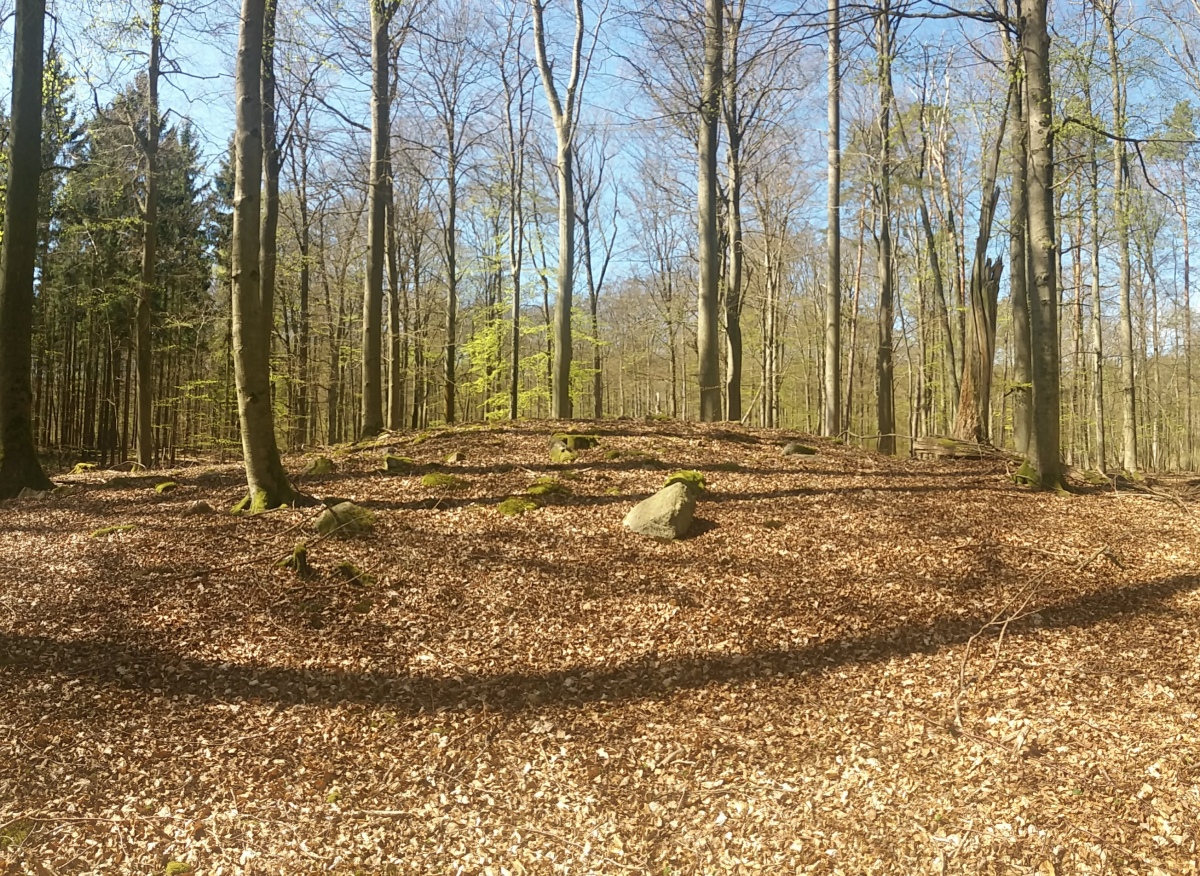 Click for the gallery page to add comments and vote (PID:210560) Hügelgrab Brüsenwalde Abt.58