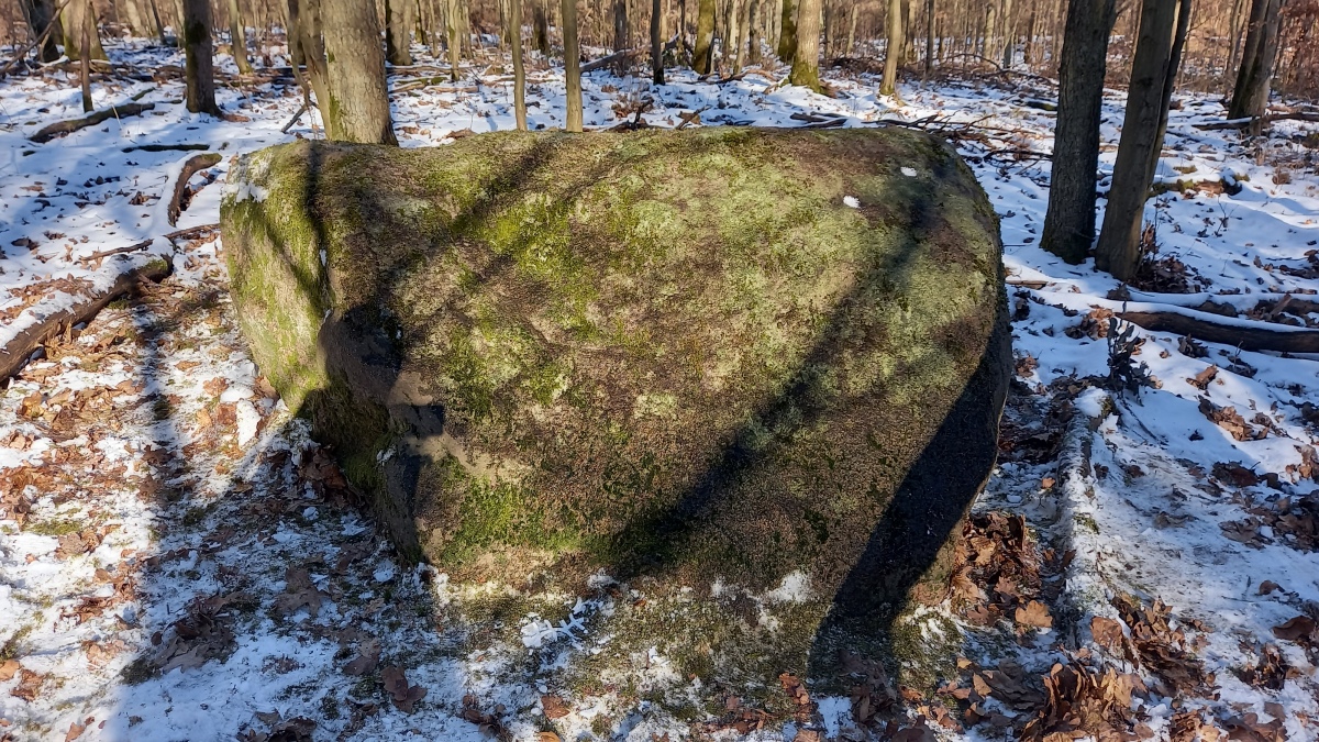 Click for the gallery page to add comments and vote (PID:285945) Schälchenstein Stegelitz 2