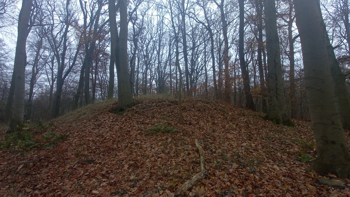 Click for the gallery page to add comments and vote (PID:251945) Hügelgrab Großer Rathsburgsee