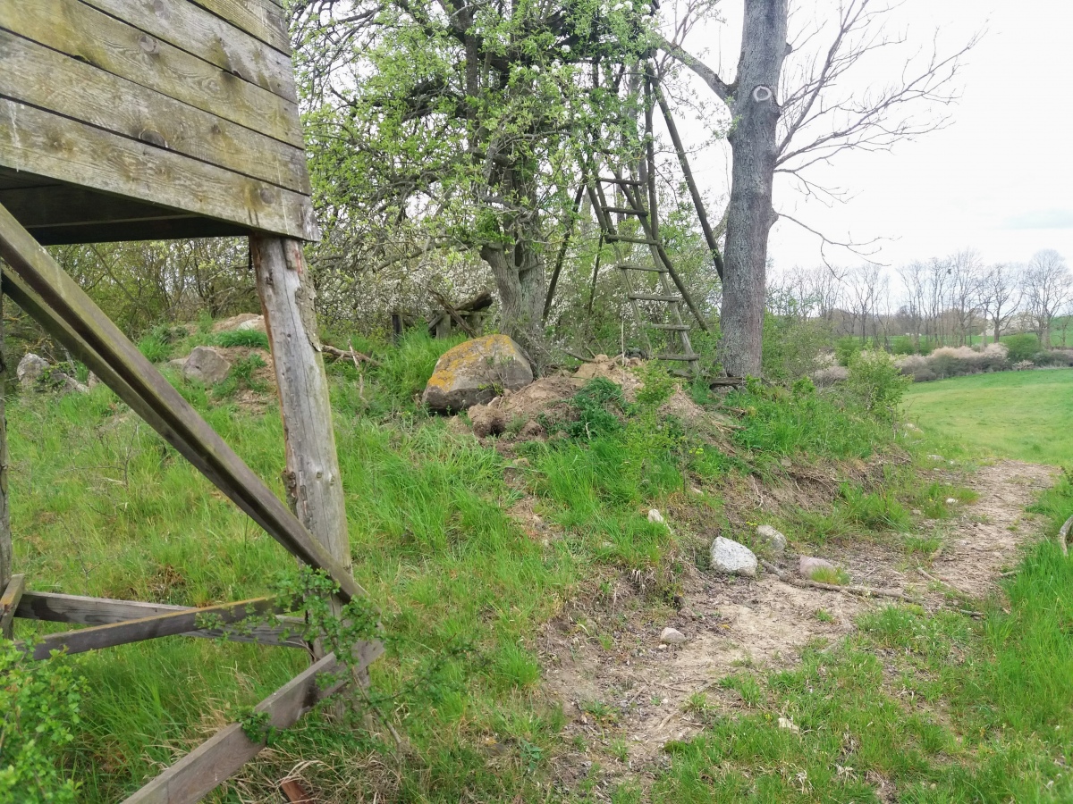 Click for the gallery page to add comments and vote (PID:211042) Kaakstedt Hügelgrab