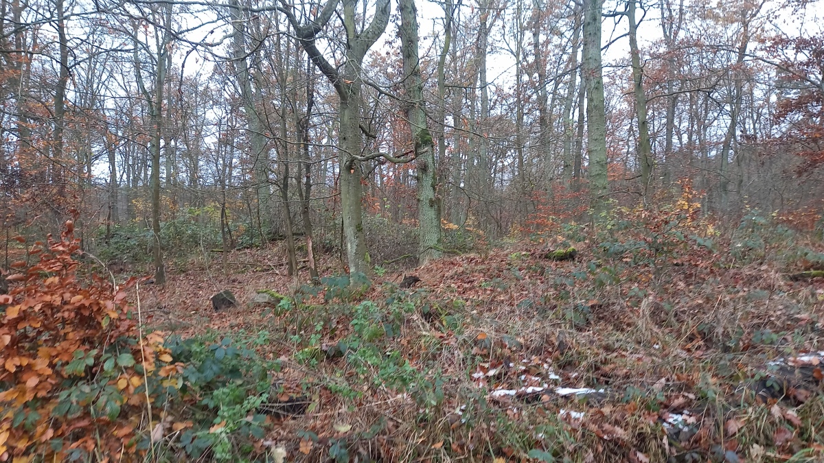 Click for the gallery page to add comments and vote (PID:281959) Hügelgräber Amaletenberg