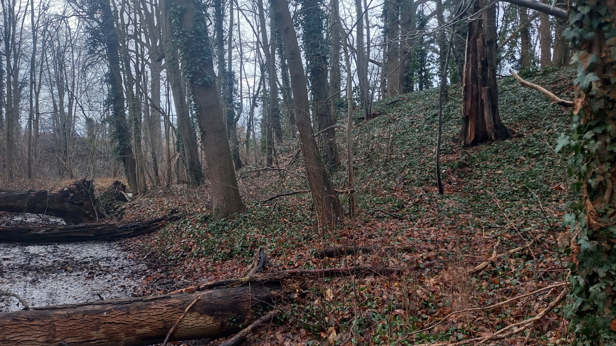 The rampart is partially surrounded by a narrow moat.

Photo by Bøddel 07/01-2023