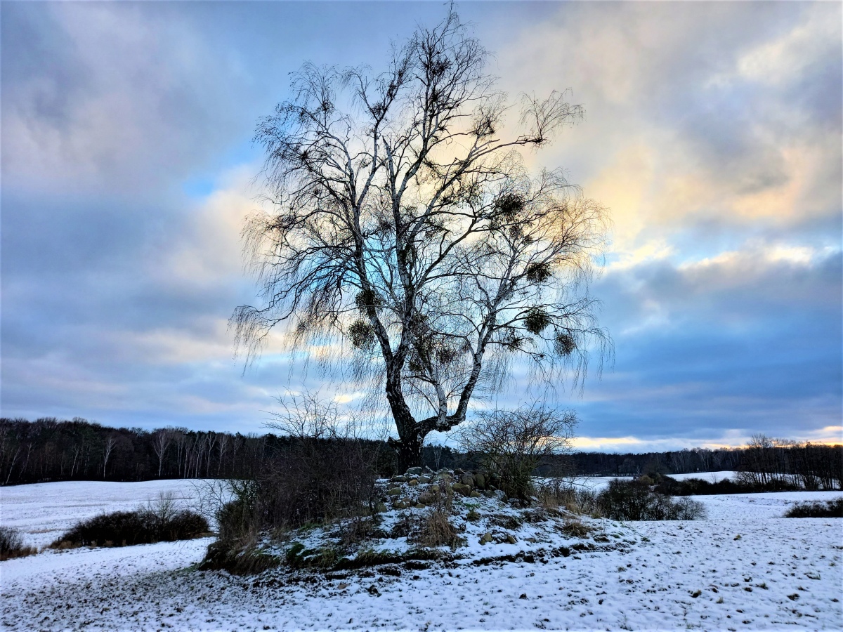 Click for the gallery page to add comments and vote (PID:221727) Grabhügel Luisenhof
