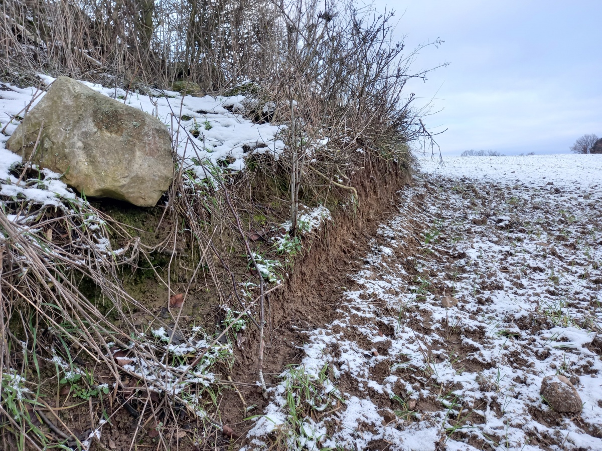 Click for full size image of Grabhügel Luisenhof (PID:221723) Grabhügel Luisenhof