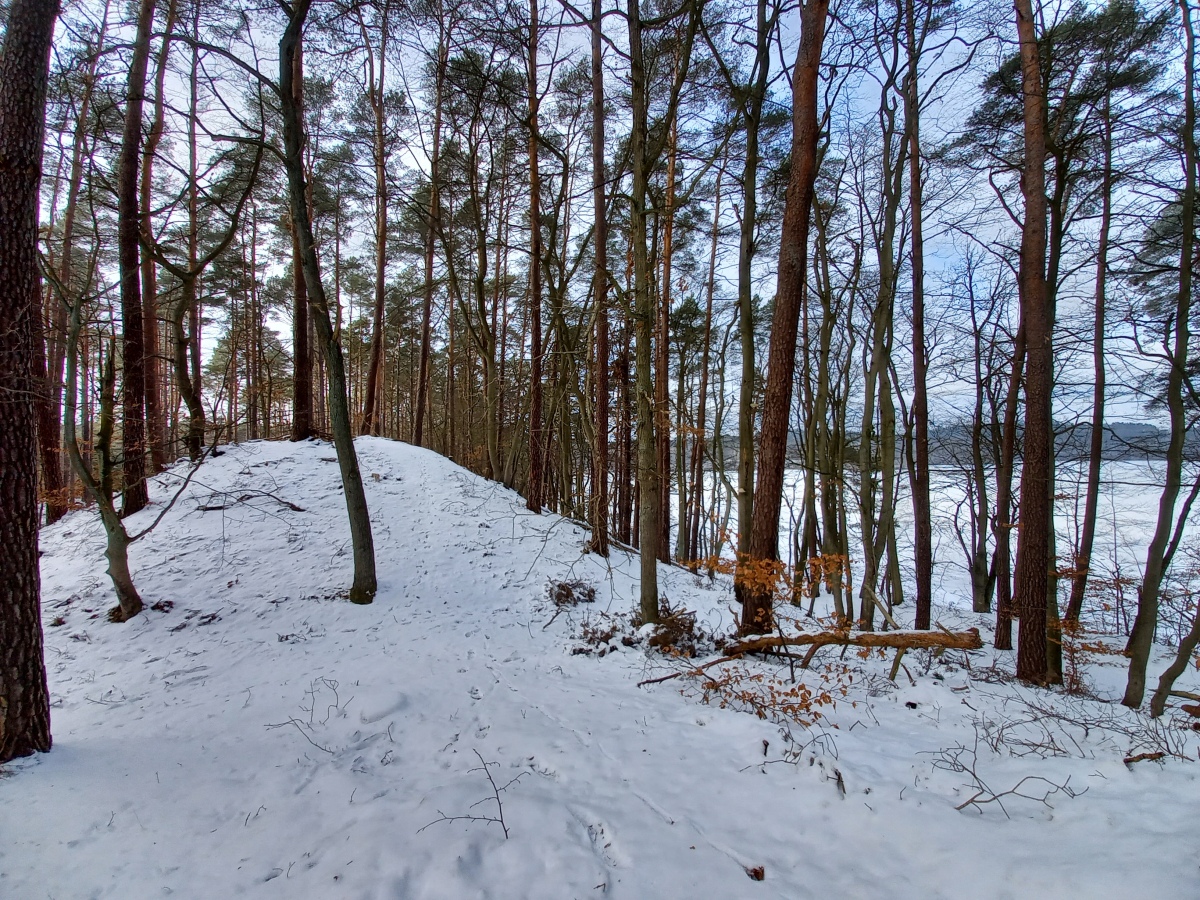 Click for the gallery page to add comments and vote (PID:223137) Hügelgräber Lychen 140346