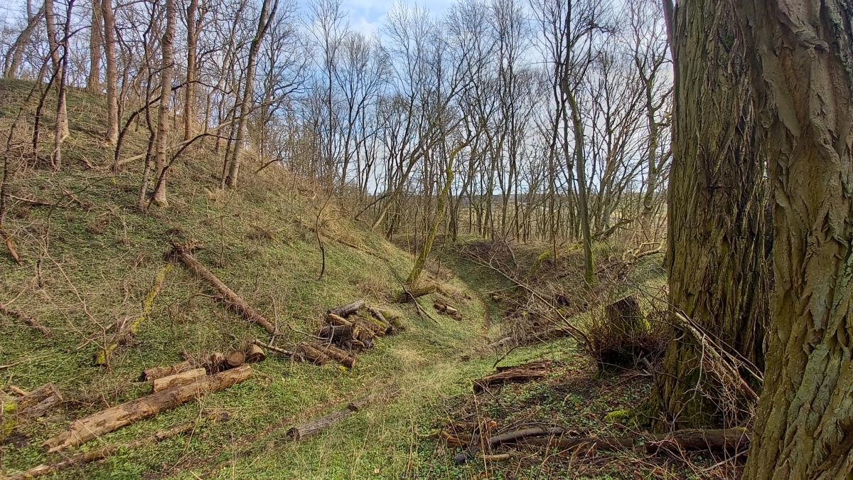 Click for the gallery page to add comments and vote (PID:255752) Burgwall auf dem Räuberberg