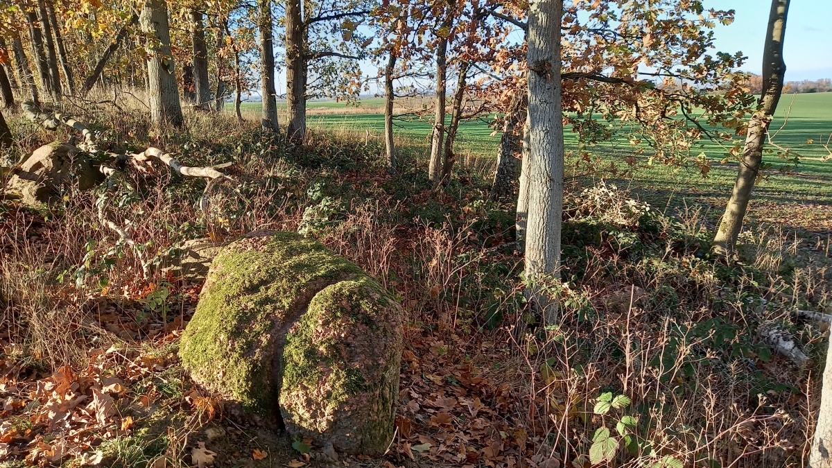 Click for the gallery page to add comments and vote (PID:251585) Rillenstein Malchow