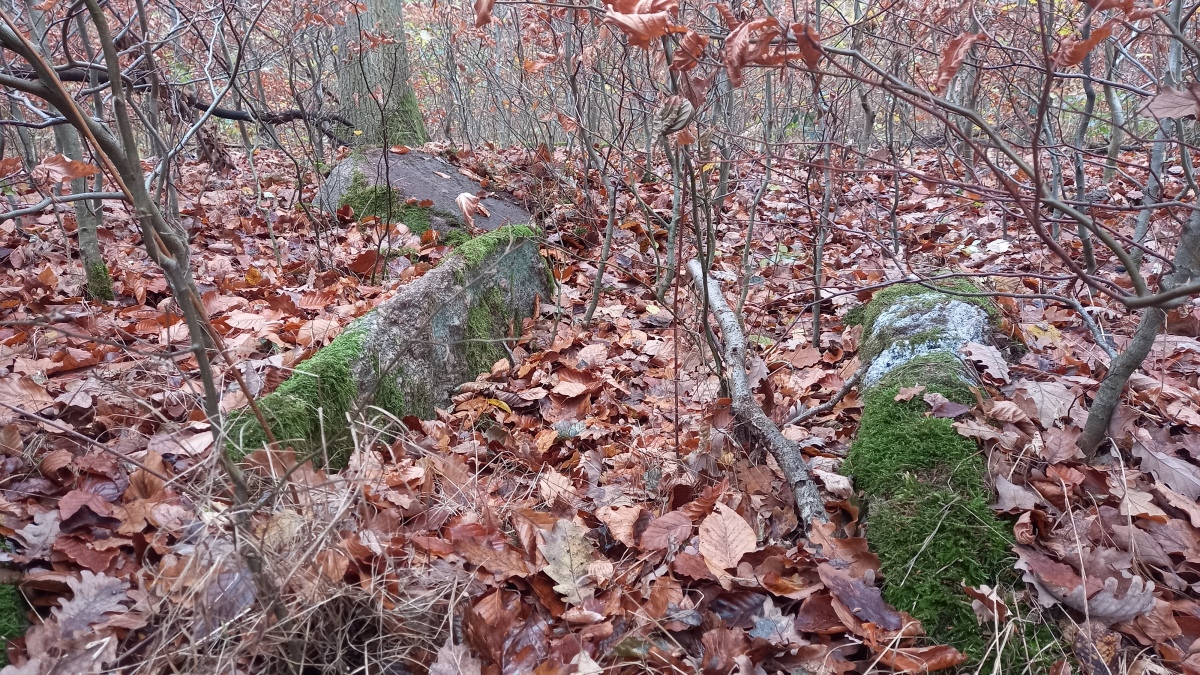 Click for the gallery page to add comments and vote (PID:281965) Steinkiste im Springgehäge 2