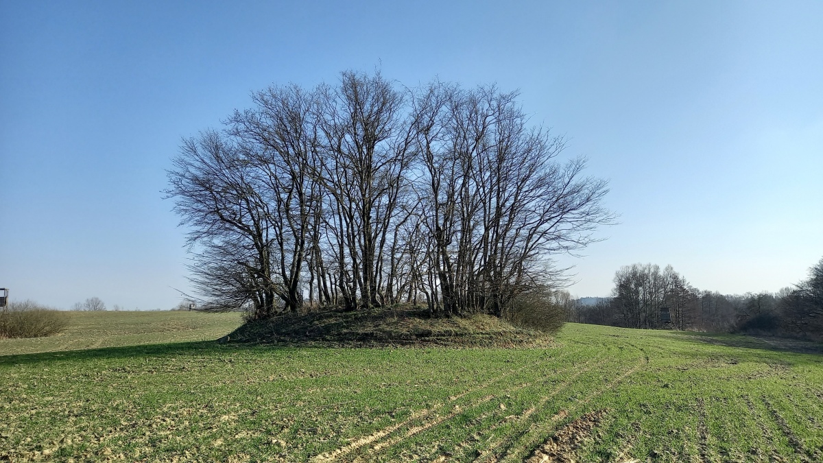 Click for the gallery page to add comments and vote (PID:269876) Trebowsee Hügelgrab 1
