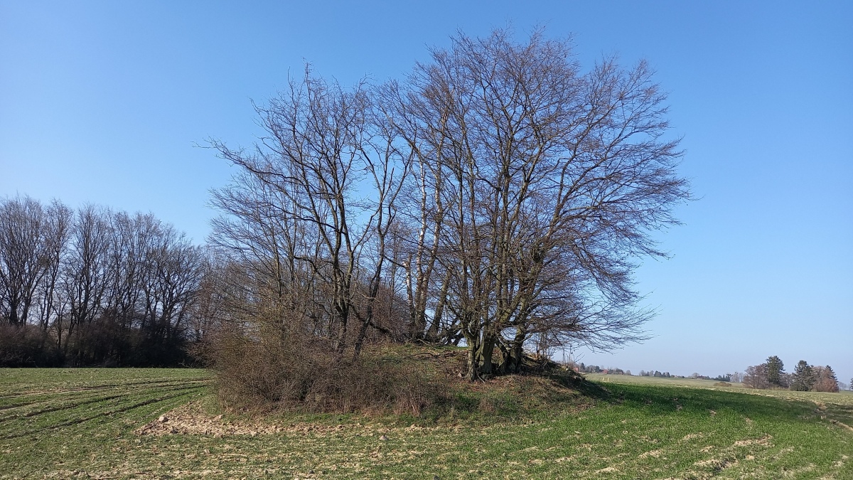 Click for the gallery page to add comments and vote (PID:269871) Trebowsee Hügelgrab 2