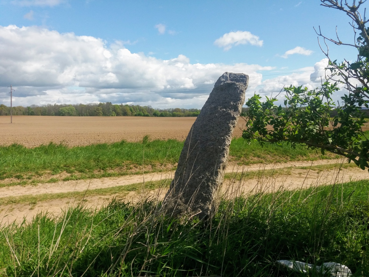 Click for the gallery page to add comments and vote (PID:211353) Wegestein Gneisenau