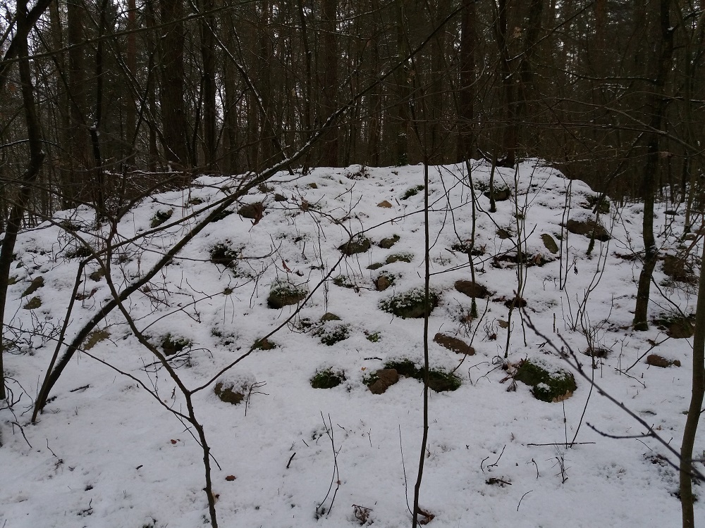 Click for the gallery page to add comments and vote (PID:161608) Steinhügelgräber Friedenwalde