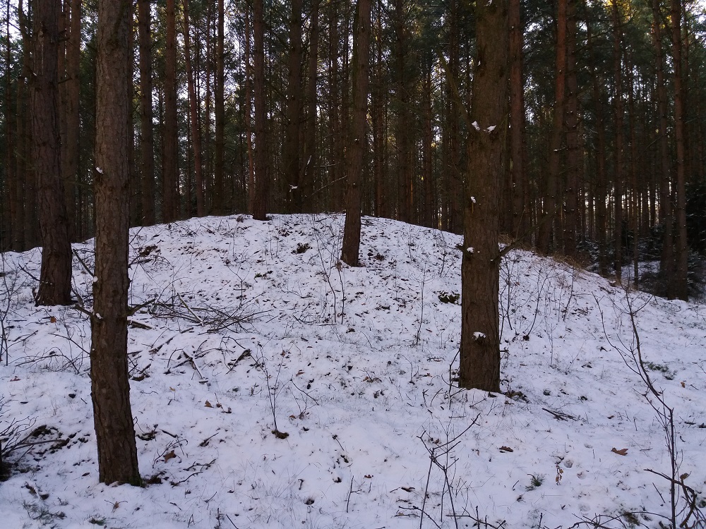 Click for the gallery page to add comments and vote (PID:161247) Hügelgräberfeld Petznick