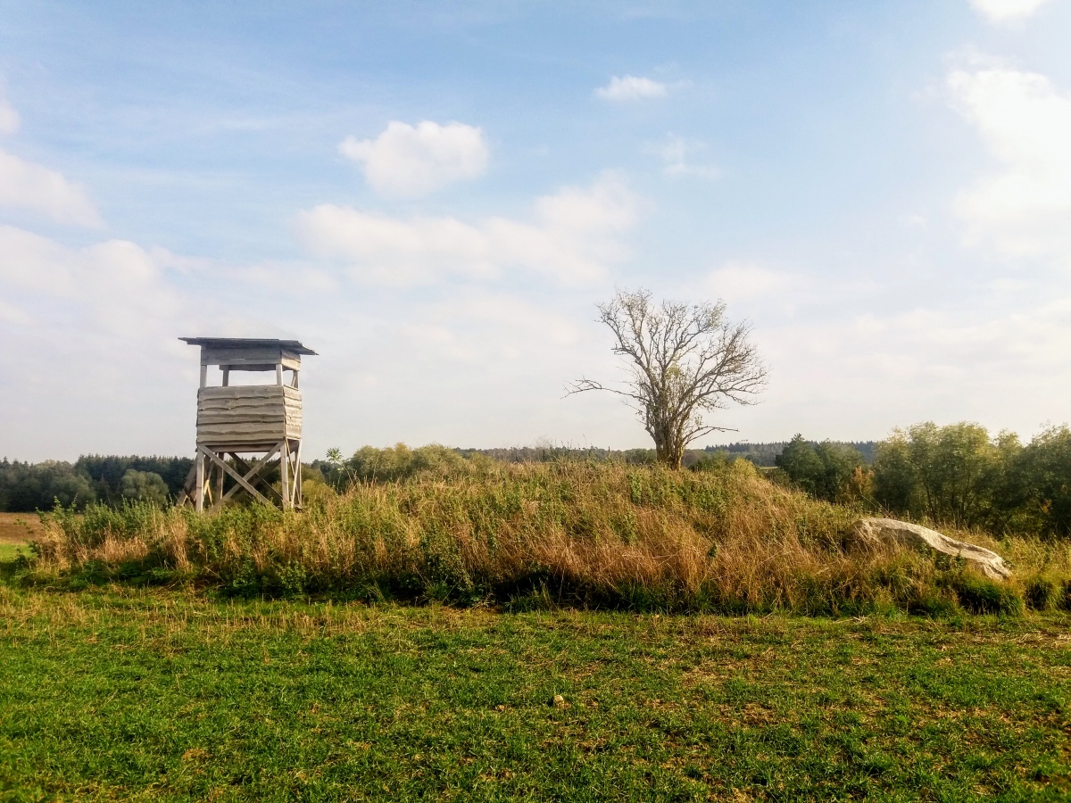 Click for the gallery page to add comments and vote (PID:218442) Hügelgrab Arendsee 140009