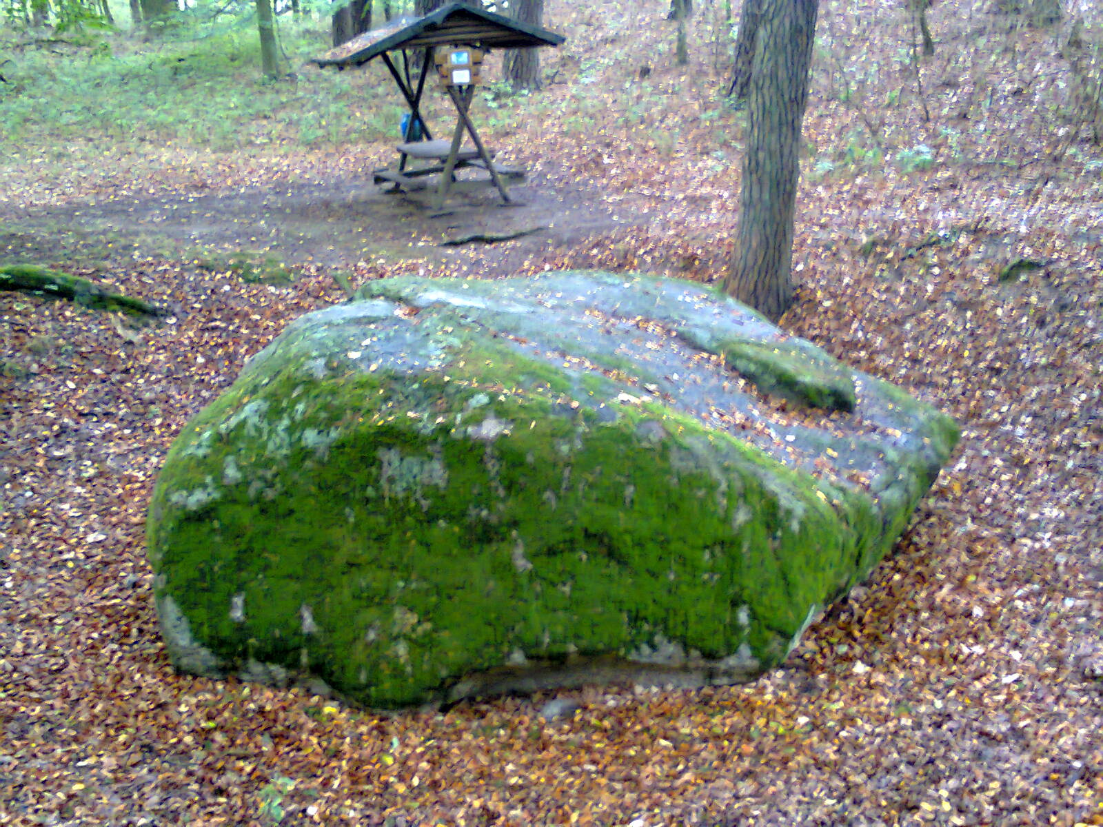 Click for the gallery page to add comments and vote (PID:158468) Verlobungsstein Boitzenburg