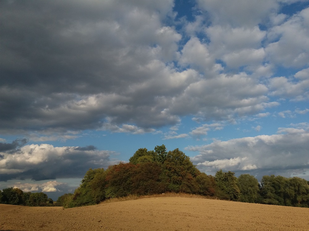 Click for full size image of Briesensee Hügelgrab (PID:185696) Briesensee Hügelgrab