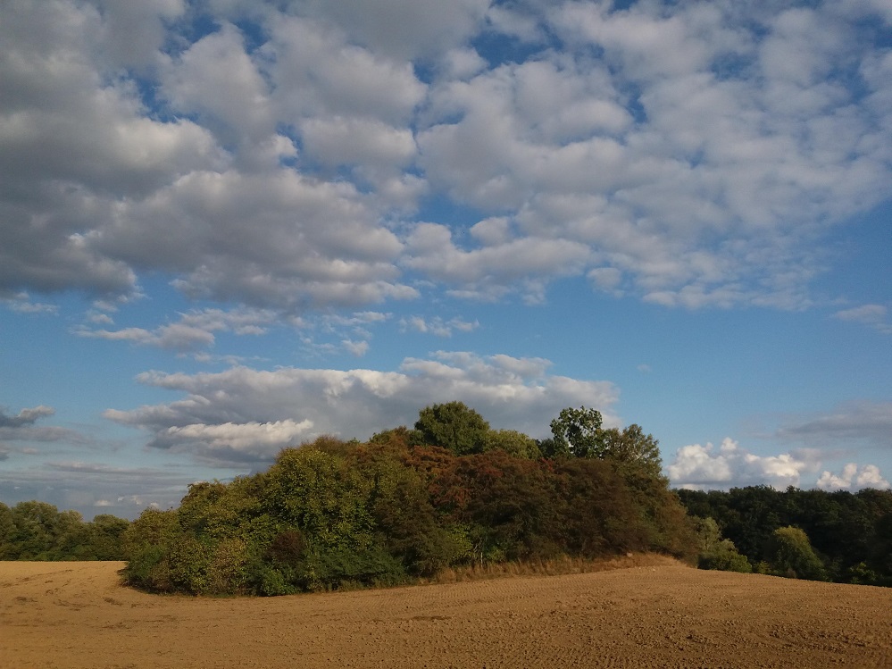 Briesensee Hügelgrab