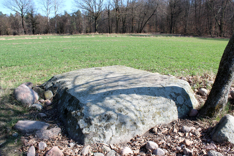 Semnonenstein