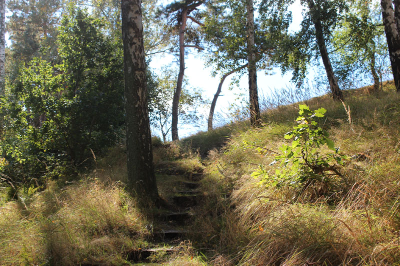 Click for the gallery page to add comments and vote (PID:113214) Gross Fredenwalde Weinberg