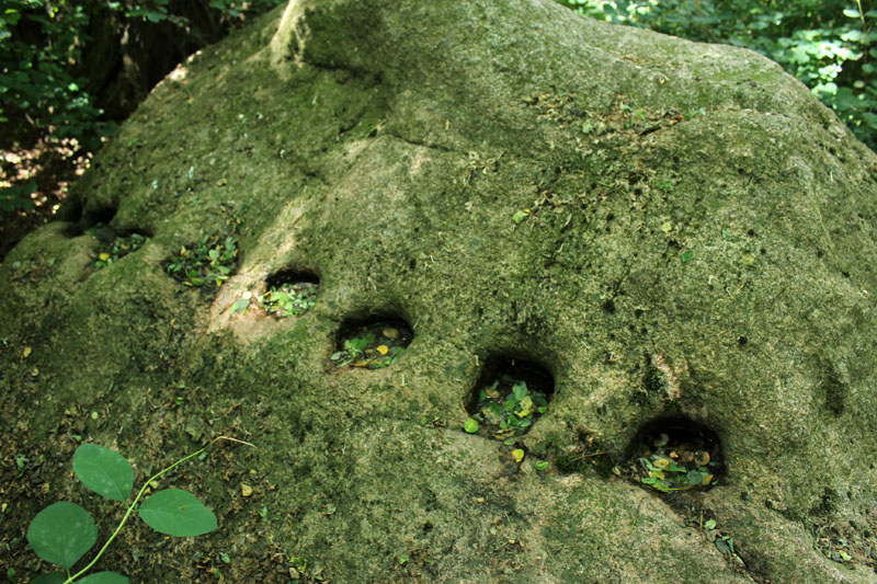 Schalenstein (Nuhnen)