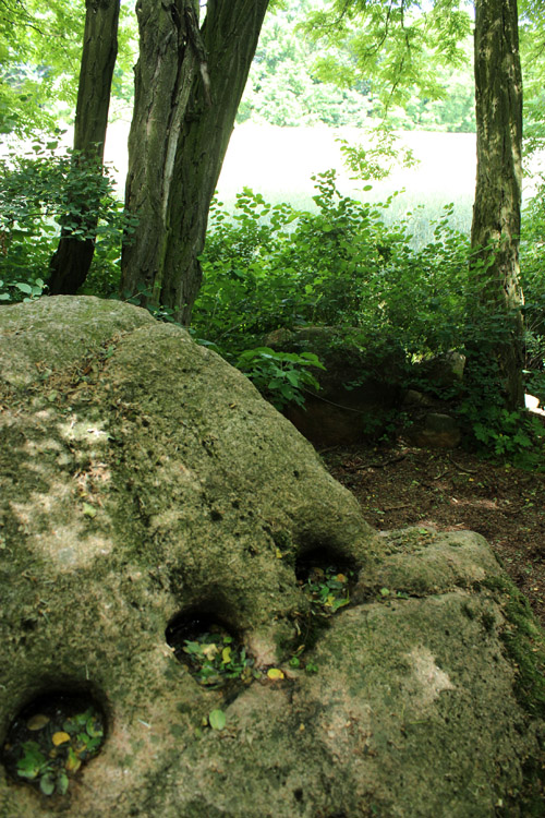 Schalenstein (Nuhnen)