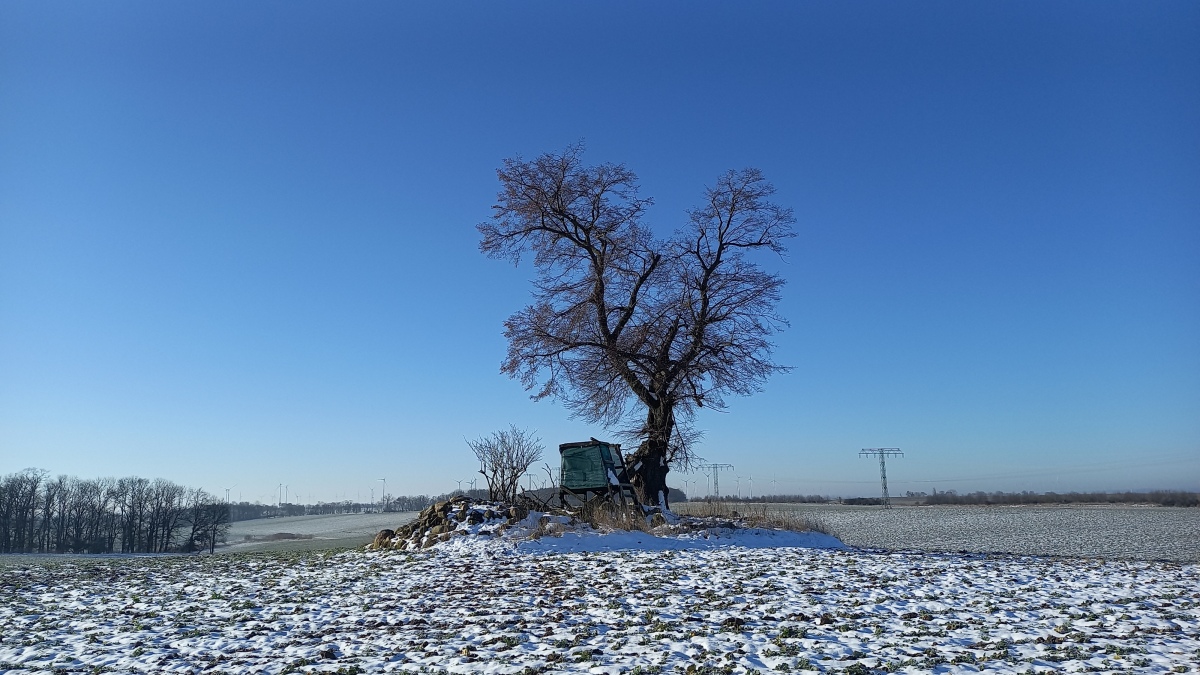 Click for the gallery page to add comments and vote (PID:254858) Hügelgrab Schönfeld Uckermark
