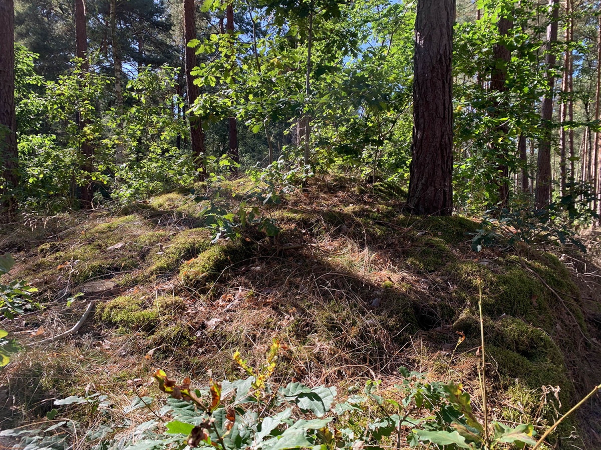Click for the gallery page to add comments and vote (PID:216961) Hügelgräberfeld Fürstenberg