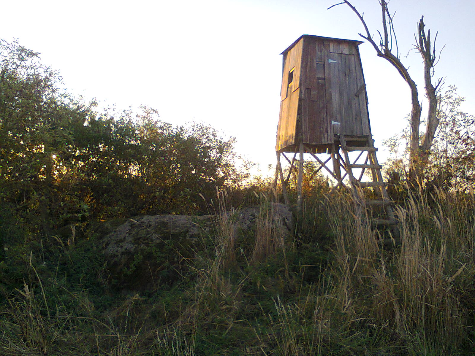 Click for the gallery page to add comments and vote (PID:139218) Hünensteinschlag Näpfchensteine