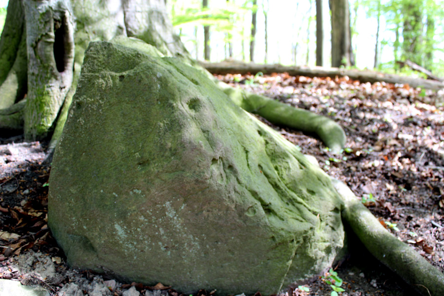 Click for the gallery page to add comments and vote (PID:107134) Altkuenkendorf Naepfchenstein