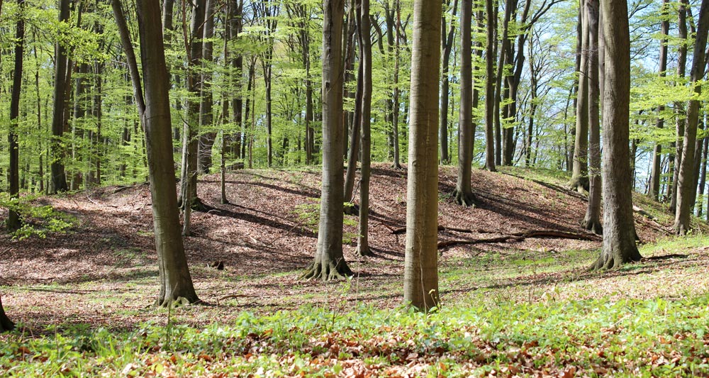 Click for the gallery page to add comments and vote (PID:107147) Altkuenkendorf Burgwall