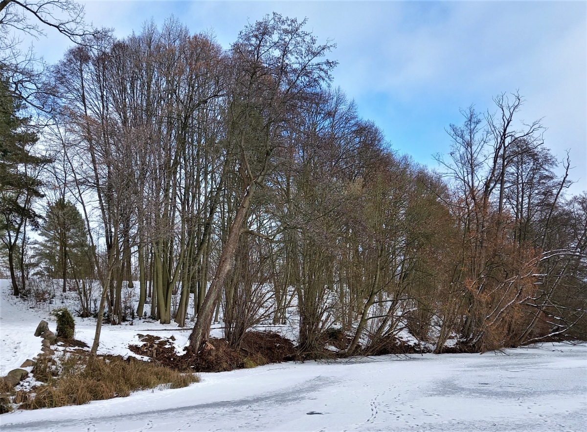 Click for the gallery page to add comments and vote (PID:223128) Slawenburg Wurlsee