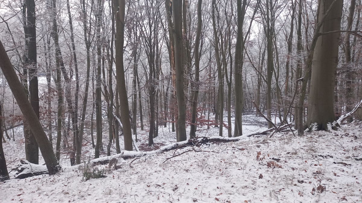 Click for the gallery page to add comments and vote (PID:252182) Slawensiedlung Melzow
