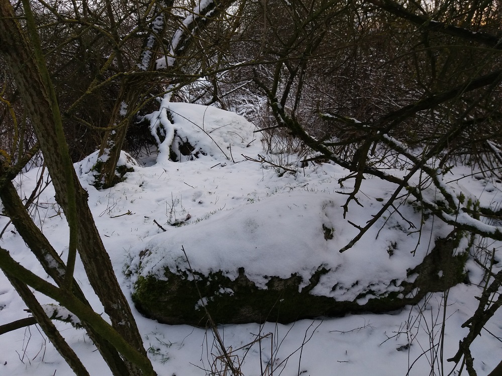 Neuenfeld Dolmen 3
Picture by Bøddel 06/01-2017