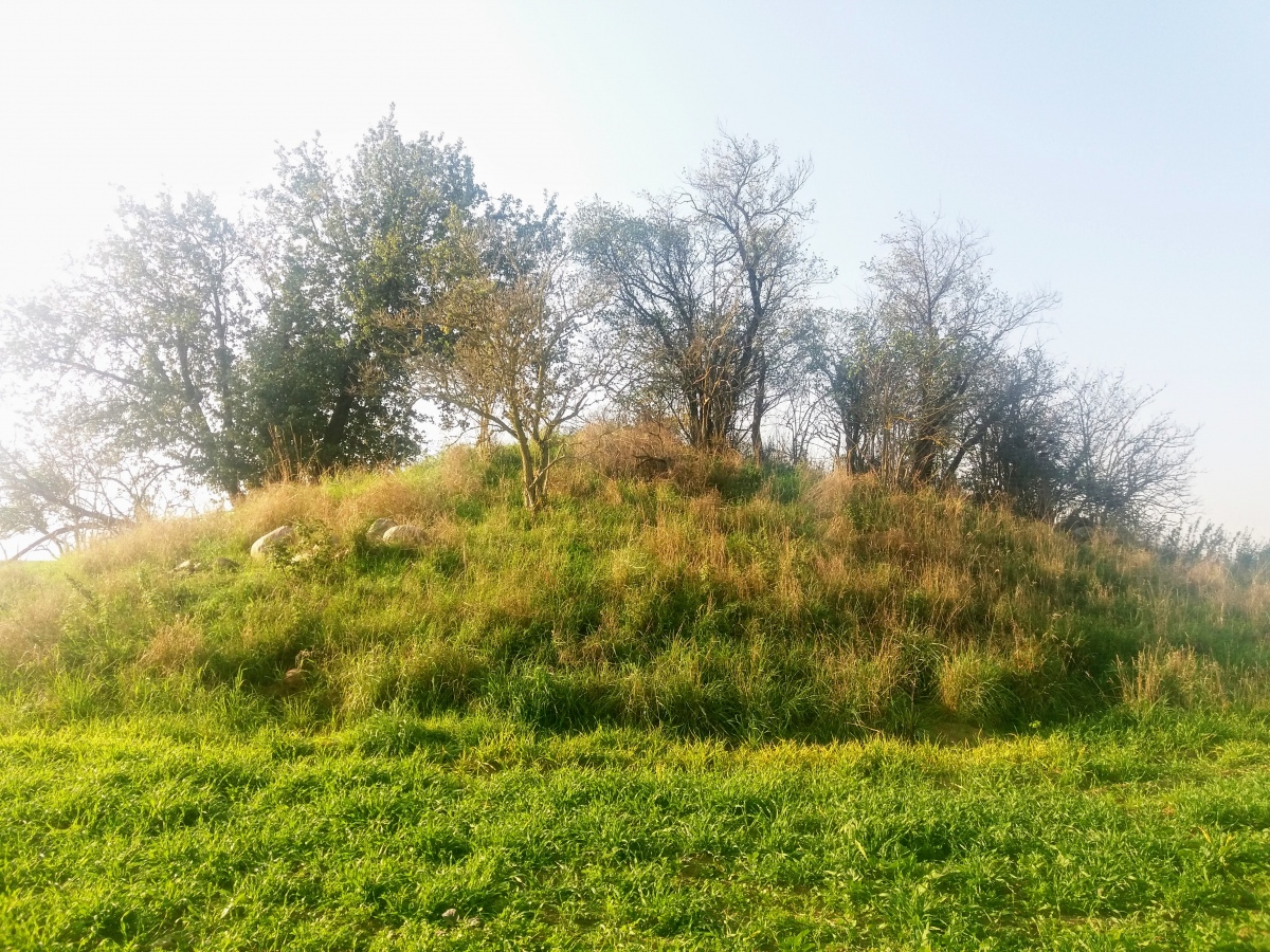 Click for the gallery page to add comments and vote (PID:216544) Hügelgrab Parmen Nord