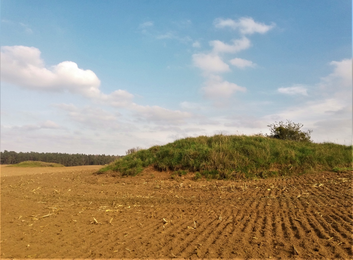 Click for the gallery page to add comments and vote (PID:217561) Raakow Hügelgräber