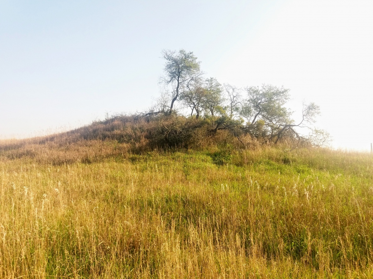 Click for the gallery page to add comments and vote (PID:216538) Hügelgrab Raakow West