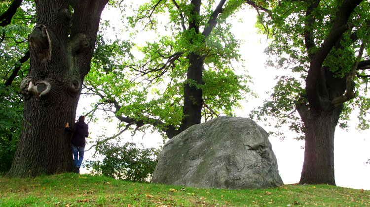 Click for the gallery page to add comments and vote (PID:82495) Riesenstein Ringenwalde