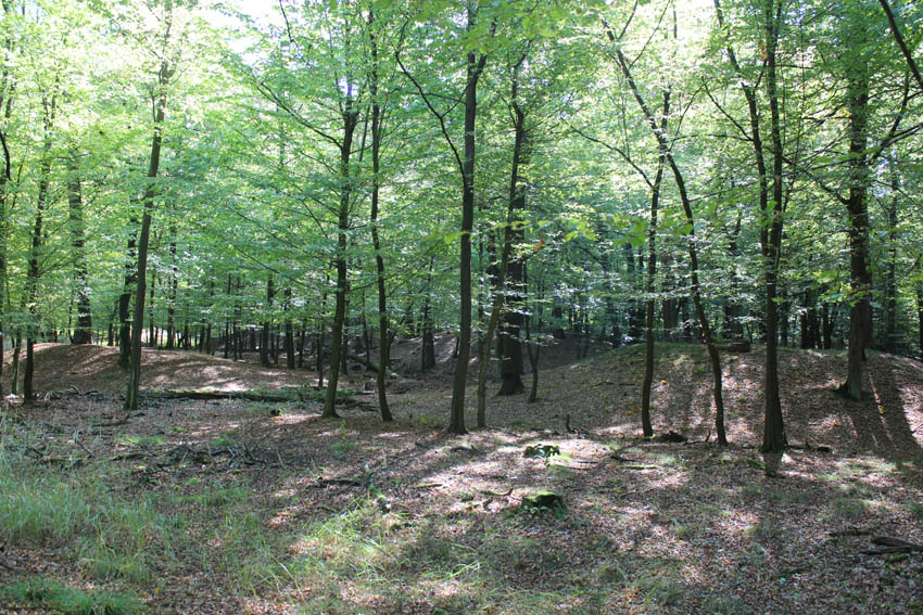 Huegelgraeberfeld Schweinert (PID:114599) Huegelgraeberfeld Schweinert