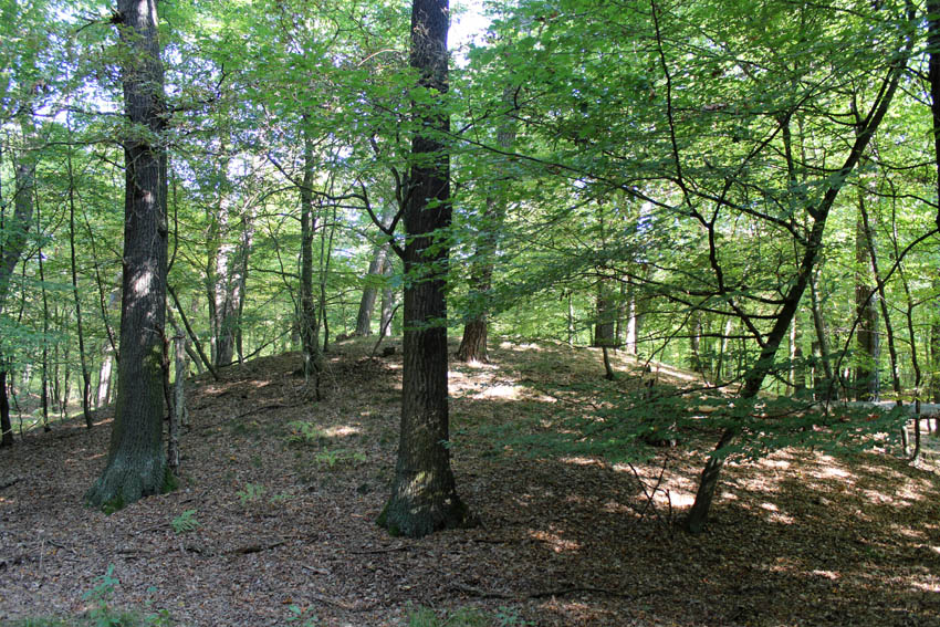 Click for full size image of Huegelgraeberfeld Schweinert (PID:114632) Huegelgraeberfeld Schweinert