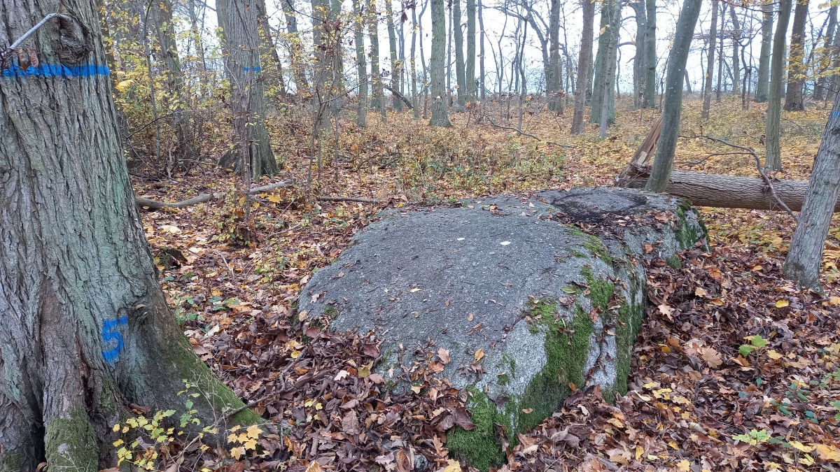 Click for the gallery page to add comments and vote (PID:251477) Schälchenstein Menkin