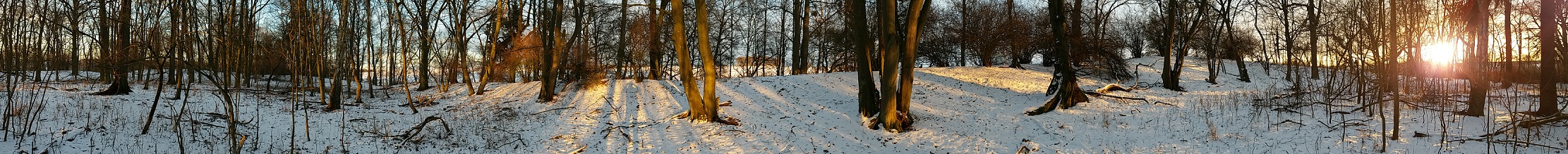Click for the gallery page to add comments and vote (PID:160918) Burgwall Schönfeld Uckermark