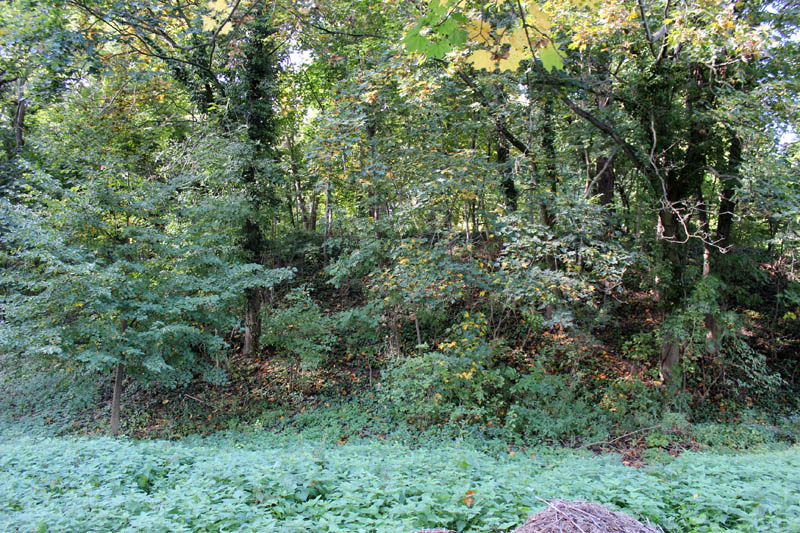 Click for the gallery page to add comments and vote (PID:113205) Gross Fredenwalde Wallberg