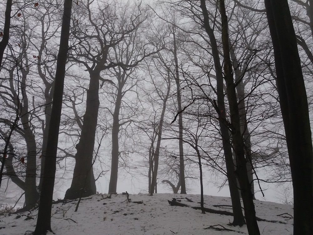 Click for the gallery page to add comments and vote (PID:161867) Hügelgräber Stegelitz