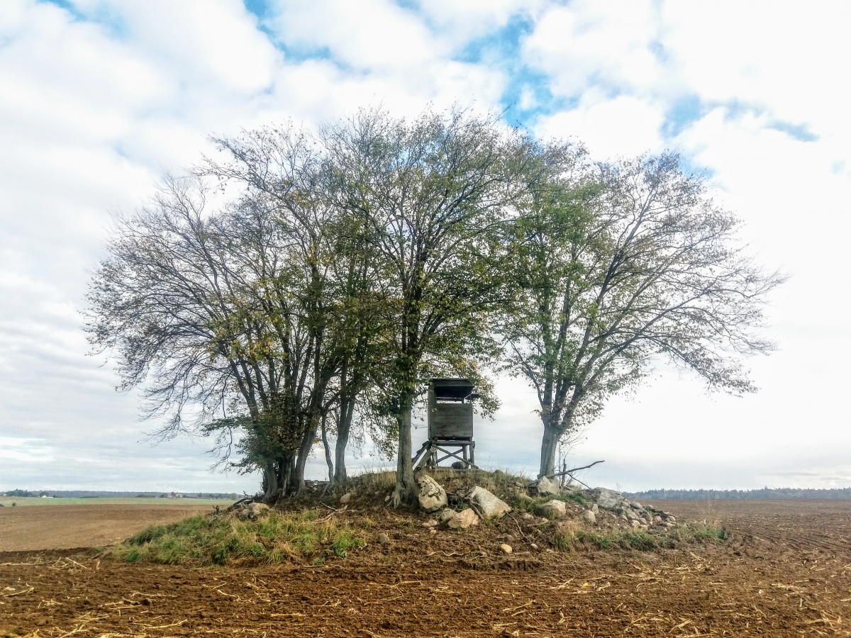 Click for the gallery page to add comments and vote (PID:218562) Hügelgräber Steinsee