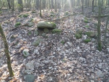 Steinhügelgräber Friedenwalde