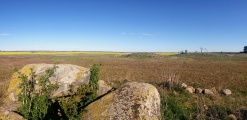 Click for full size image of Schwaneberg Dolmen (PID:210584) Schwaneberg Dolmen