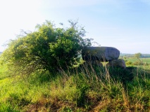 Neuenfeld Dolmen 1