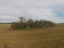 Hügelgrab Arendsee 140018