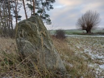Phallusstein beim Potzlower Seenblick
